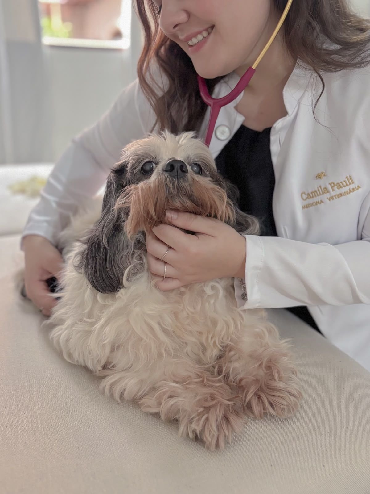 Atendimento veterinário domiciliar Meu Cristal em Americana e região